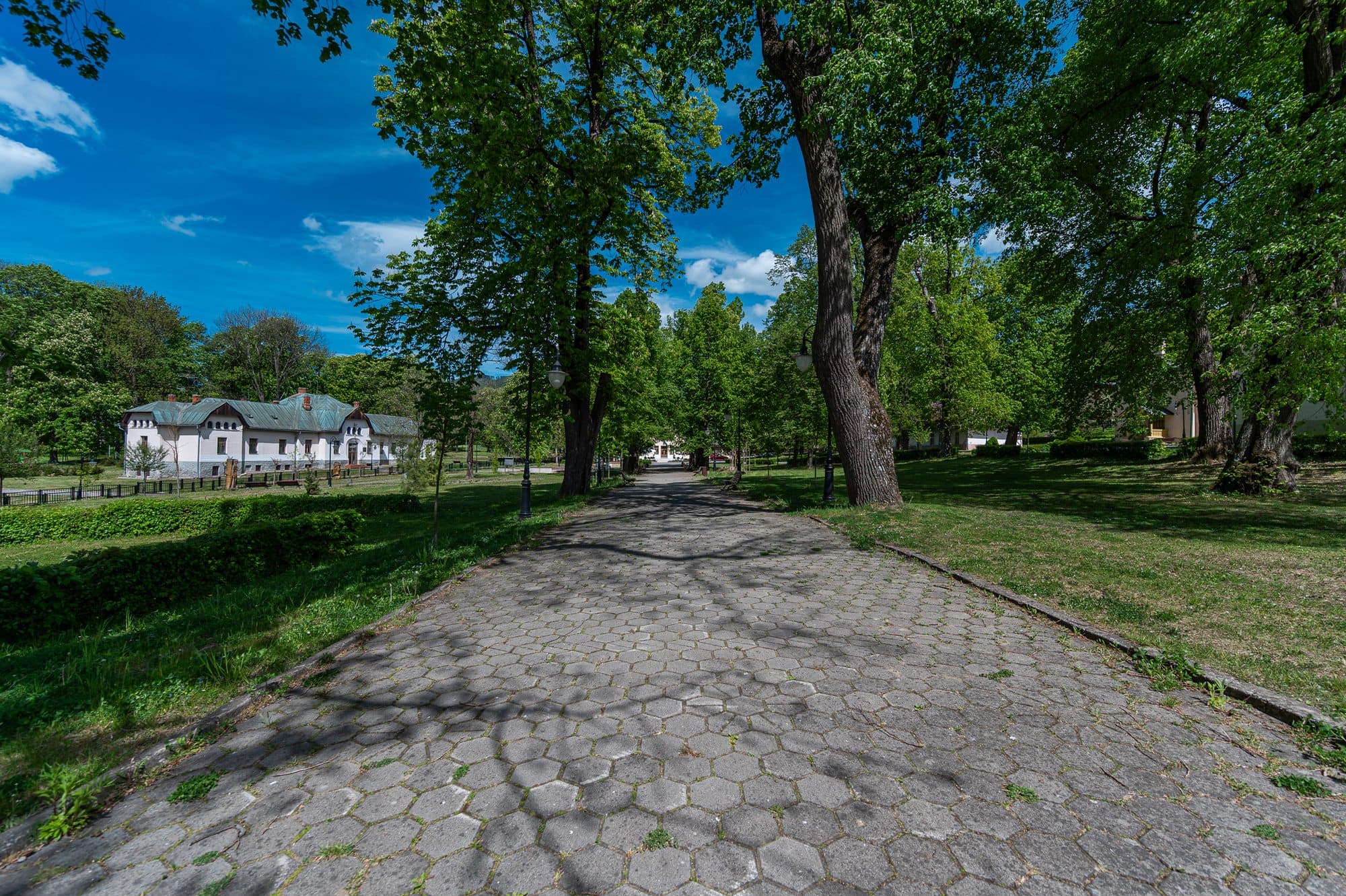 Historický kúpeľný park v Herľanoch — aleja s chodníkom hneď cez cestu od projektu